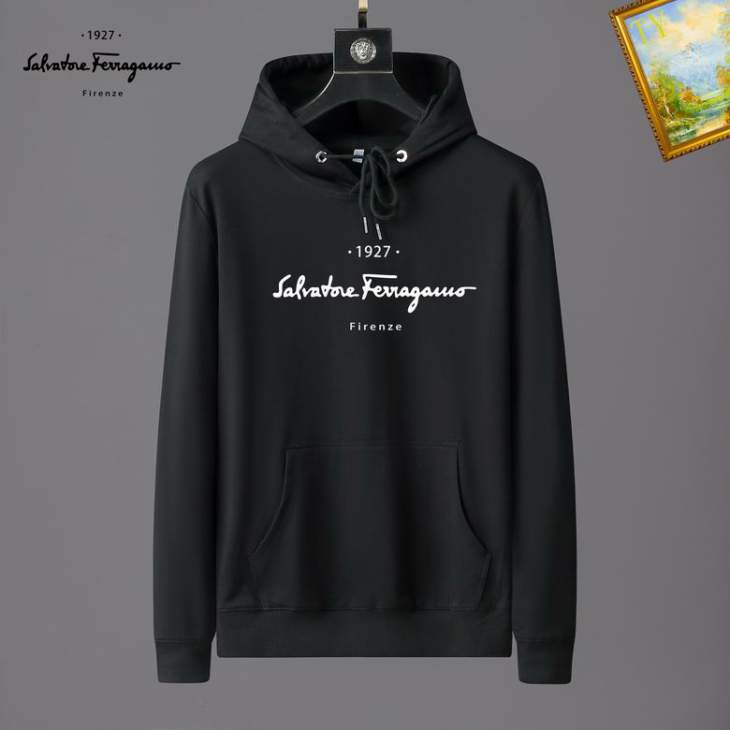 Picture of Ferragamo Hoodies _SKUFerragamoM-3XL25tn013091